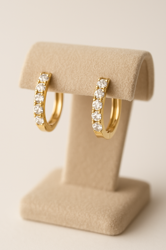 Earrings xxx